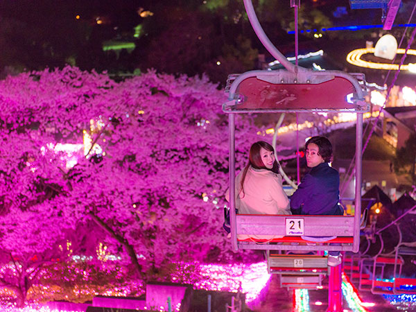 さがみ湖リゾートプレジャーフォレスト 夜景