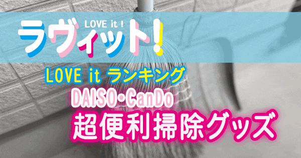 ラヴィット LOVE it ランキング DAISO CanDo 超便利掃除グッズ