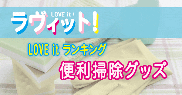 ラヴィット LOVE it ラビット ランキング 便利掃除グッズ