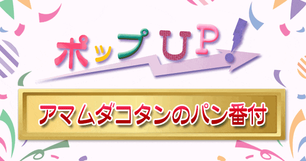 ポップアップ ポップUP ランキング くろうと番付 アマムダコタン パン