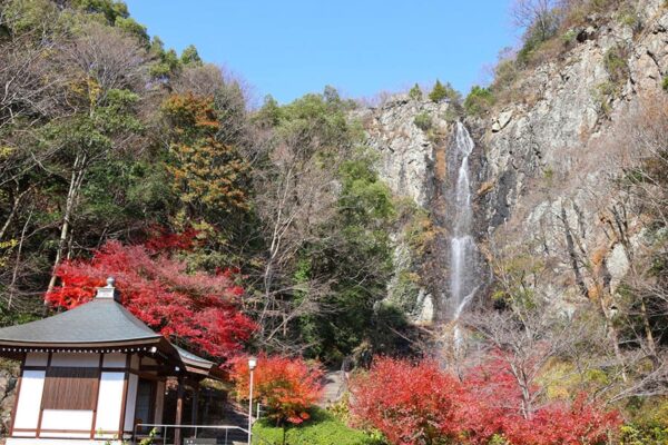 香川県 三豊市 不動の滝
